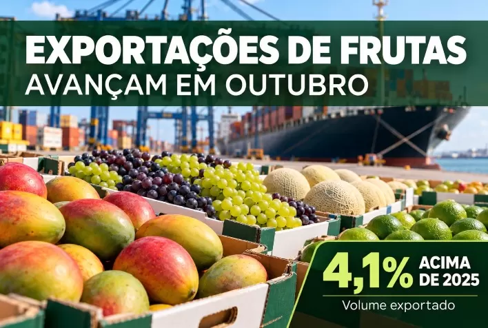 Exportações de frutas aceleram em outubro e superam volume de 2025 em 4,1%