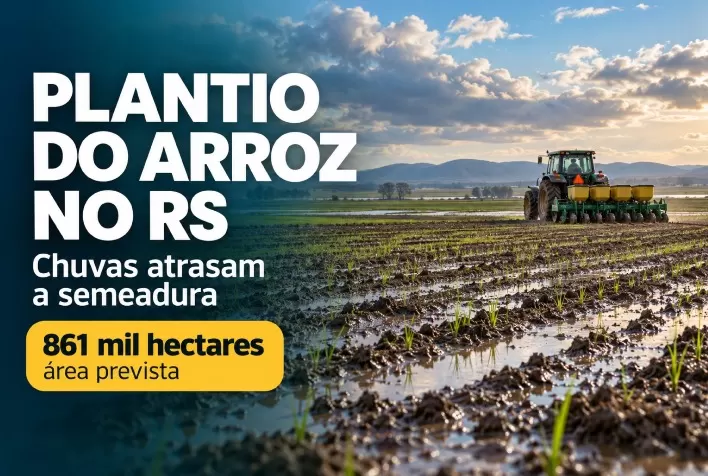 Plantio do arroz avança lentamente no RS após chuvas; área prevista chega a 861 mil hectares