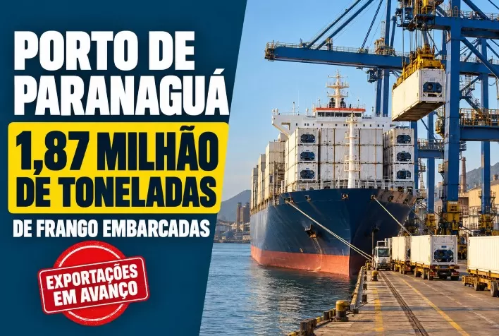 Porto de Paranaguá embarca 1,87 milhão de toneladas de frango e lidera avanço das exportações