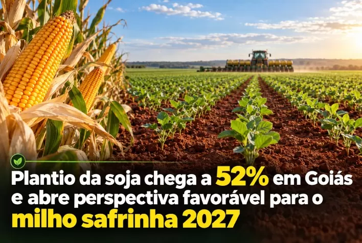 Plantio da soja chega a 52% em Goiás e abre perspectiva favorável para o milho safrinha 2027