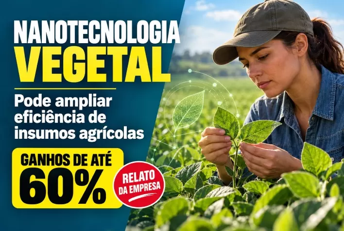 Nanotecnologia vegetal pode ampliar eficiência de insumos agrícolas; empresa relata ganhos de até 60%