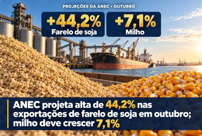 ANEC projeta alta de 44,2% nas exportações de farelo de soja em outubro; milho deve crescer 7,1%