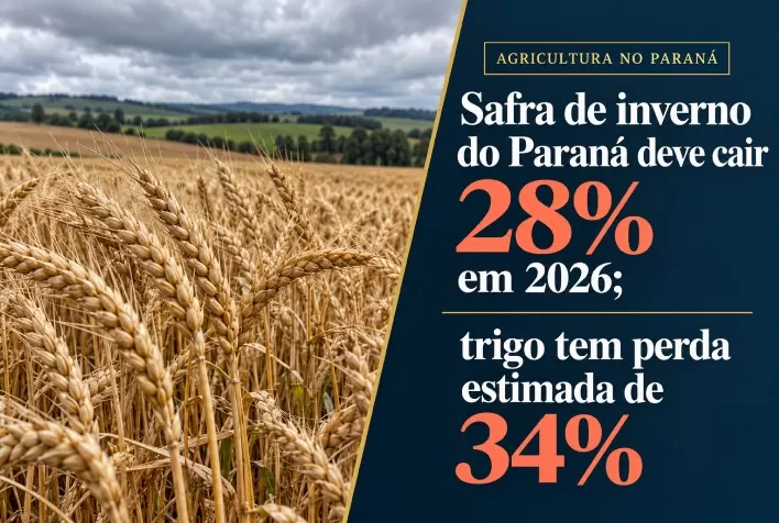 Safra de inverno do Paraná deve cair 28% em 2026; trigo tem perda estimada de 34%