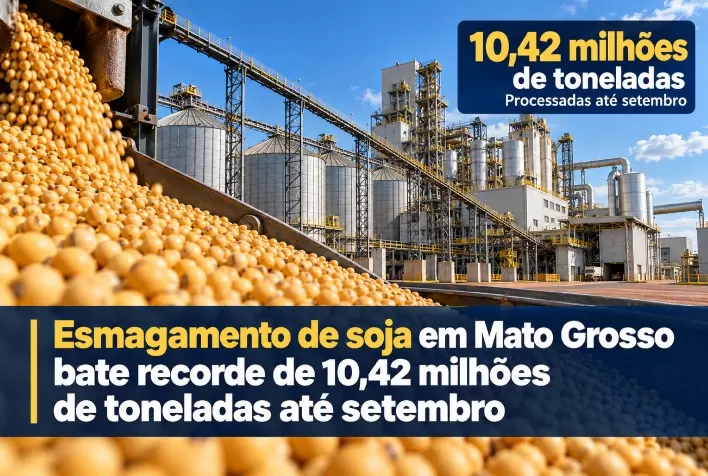 Esmagamento de soja em Mato Grosso bate recorde de 10,42 milhões de toneladas até setembro