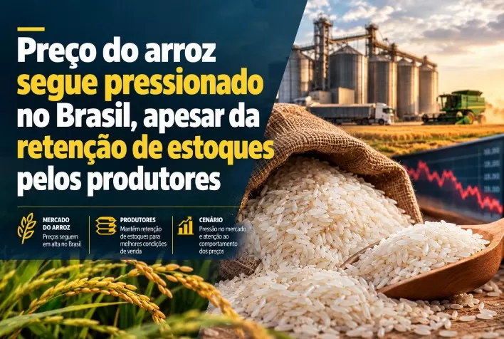 Preço do arroz segue pressionado no Brasil, apesar da retenção de estoques pelos produtores