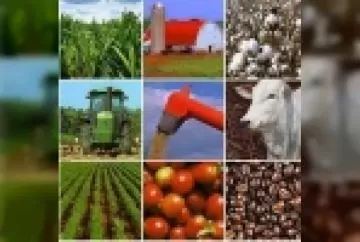 Uma Indústria chamada Agricultura