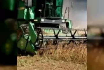 Produtividade agrícola é desafio para as empresas brasileiras