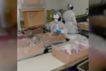 Isenção de Impostos sobre indústria de carnes abre debate sobre tributação