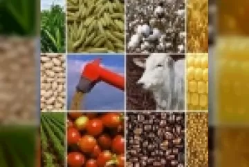A importância do Marketing para o Agronegócio Brasileiro