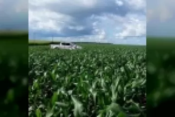 Tomada de decisão quanto a adubação e manejo de nutrientes por agricultores do Mato Grosso: dados do Circuito Tecnológico 2015