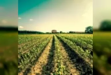 O Seguro Rural para agricultores