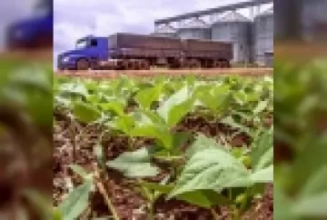 Agronegócio: Como nosso setor ajuda a mover o Brasil