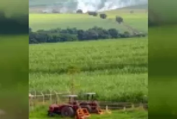 Queimadas, proteção, preservação e uso da terra no Brasil