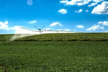 Mitos e Fatos na agricultura irrigada (Parte III)