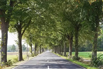 Agricultura legalizada nas ‘faixas de domínio’ rodoviárias