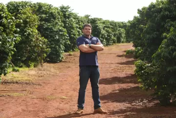 A irrigação localizada por gotejamento proporciona redução no custo de arrendamento