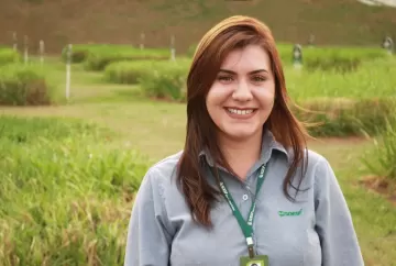 A importância da irrigação nas pastagens em sistemas integrados