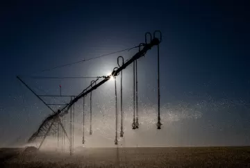 Água na agricultura e produção de alimento