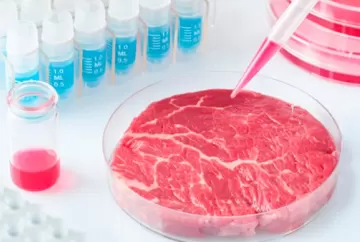 Carne cultivada em laboratório: o futuro da produção de carne?