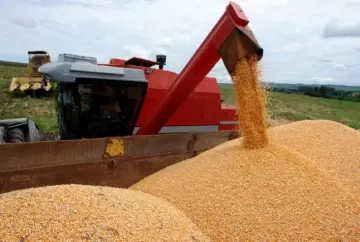 Desempenho da agricultura brasileira durante o primeiro ano da Covid-19
