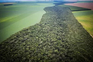 Breves Considerações Sobre As Área de Reserva Legal