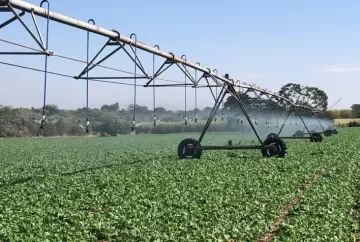 O caminho para a agricultura irrigada de alta eficiência em Mato Grosso do Sul