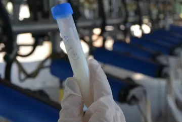 Vale a pena o congelamento de amostras de leite antes da cultura microbiológica?