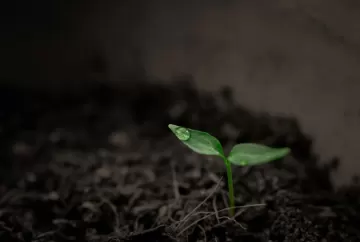 Como preservar a microbiota do solo pode aumentar produtividade e rentabilidade da sua lavoura?