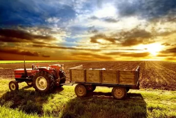 Impactos da alta de juros no agronegócio