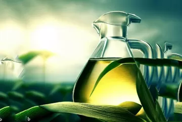 Descarbonização a partir dos biocombustíveis