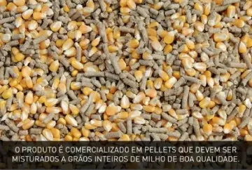Diminuição histórica do preço do milho e a dieta do grão inteiro na pecuária de corte: uma alternativa econômica e eficiente