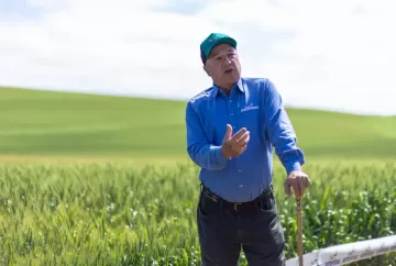 El Niño, PIB e o Agronegócio Brasileiro