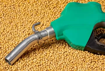 Biodiesel, óleo de soja, sebo bovino e exportação: perspectivas de mercado