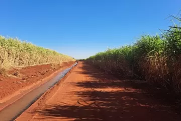 Os efeitos da irrigação no cenário canavieiro para a safra 2024/2025