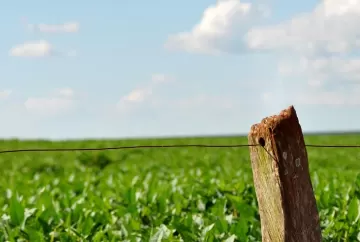 Lei da Liberdade Econômica e o Estatuto da Terra: perspectivas sobre os contratos agrários