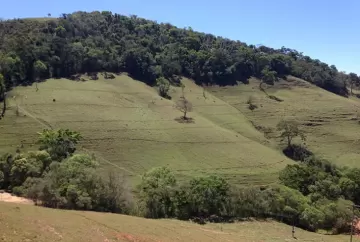 Agropecuária e licenciamento ambiental: por que o Alarde não se sustenta