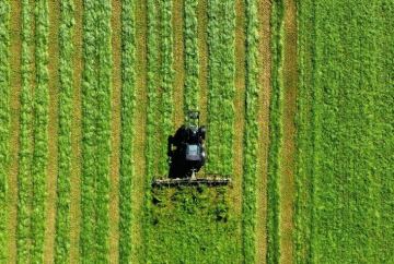 Prescrição intercorrente no agronegócio: o risco silencioso que pode inviabilizar a recuperação de crédito rural