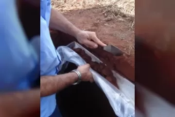 Agrotóxicos: uso sustentável é possível ao seguir recomendações