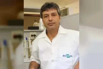 Genoma completo do café canephora é sequenciado pela primeira vez no mundo