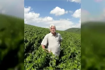 Fundação Procafé realiza 41º Congresso Brasileiro de Pesquisas Cafeeiras em Poços de Caldas, Minas Gerais