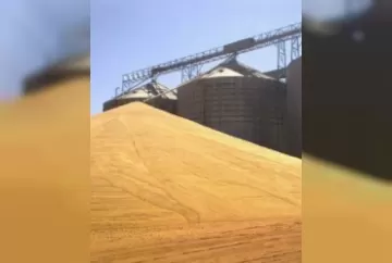 Pós Colheita e Armazenamento de Grãos