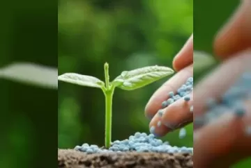 Mitos e verdades: como o cálcio e o magnésio agem sobre os alimentos e a importância de ambos para uma mesa saudável