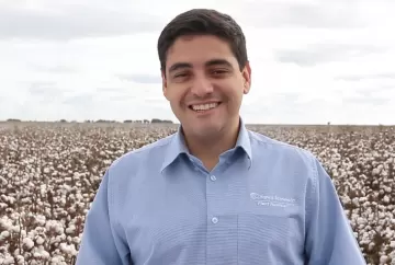 Nutrição do solo e das folhas do algodoeiro resulta em melhor qualidade de pluma