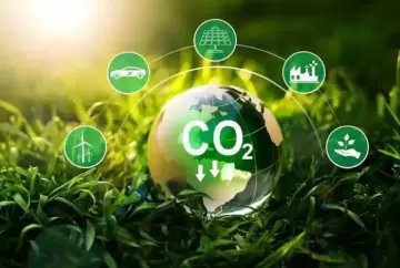 Crédito de carbono: Como o Brasil pode (e deve) ser pioneiro nesse novo mercado?