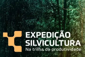 Expedição Silvicultura vai produzir o maior levantamento sobre a produtividade das plantações florestais brasileiras