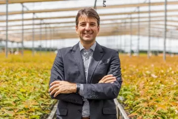 Setor florestal brasileiro aproveita COP30 para reforçar o reconhecimento global e a sustentabilidade