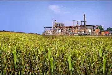 Safra de cana 2026/27 deve crescer 5,3% e amplia pressão por eficiência no campo e nas usinas