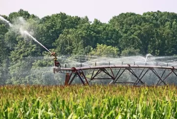 Irrigação impulsiona produtividade, renda e empregos no agronegócio brasileiro, aponta estudo da ABIMAQ e USP/ESALQ