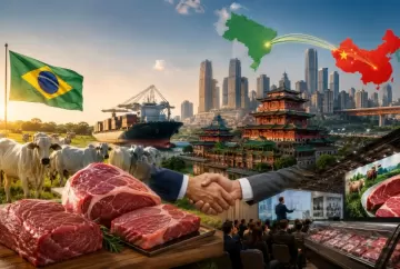 Carne bovina brasileira avança na China com US$ 1,7 bilhão em prospecções e expansão estratégica no interior do país