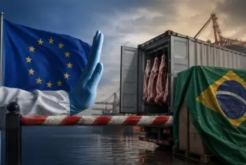 União Europeia impõe nova barreira sanitária e frigoríficos brasileiros correm risco de perder US$ 2 bilhões em exportações